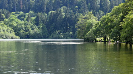 vacances à Longemer