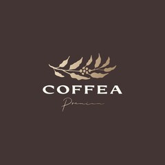 coffea coffee tree sophisticated aesthetic logo vector icon illustration