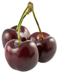 trio de cerises  sur fond blanc 
