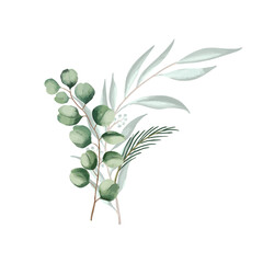 Set of botanic and wild leaves in watercolor painting.