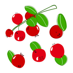 Set of hand drawn lingonberry. Flat illustration.