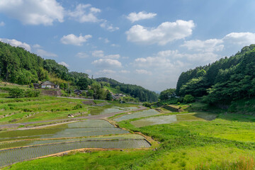上代田棚田
