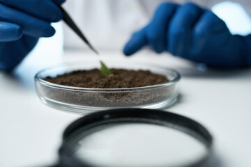 laboratory research plants microbiology science