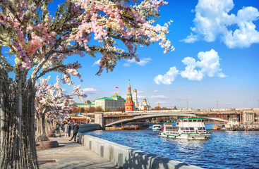 Flower trees on the embankment of the Moskva River, the Kremlin and ships on the river in Moscow