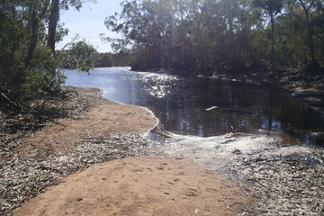 Park in Adelaide