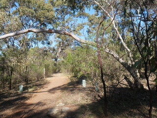 Naklejka premium Park in Adelaide
