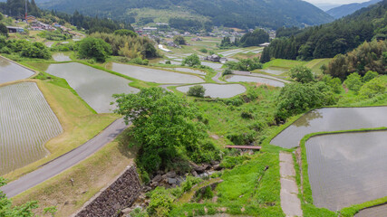 坂折棚田