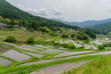 坂折棚田