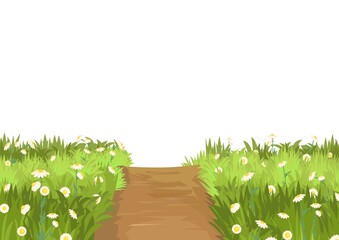 Road. Meadow with wildflowers. illustration. Grass close-up. Green landscape. Isolated. Cartoon style. Flat design. Flowers. Vector art