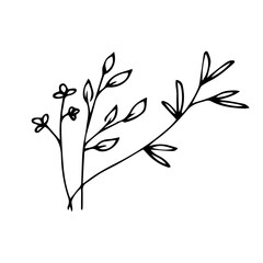 Minimal botanical hand drawing design for logo and wedding invitation, Hand drawn plants, vector botanical doodles illustration elements. illustration of botanical line art floral leaves.