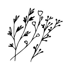 Fototapeta premium Minimal botanical hand drawing design for logo and wedding invitation, Hand drawn plants, vector botanical doodles illustration elements. illustration of botanical line art floral leaves.