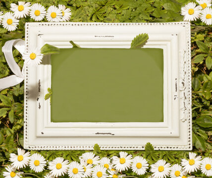An empty white frame on the grass with white flowers.Daisy.