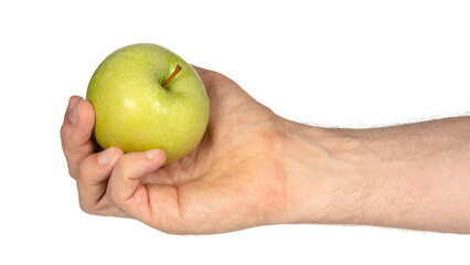 Green apple in adult hand, isolated