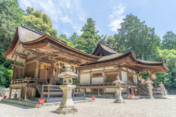 Fototapeta premium 御上神社