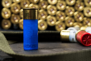 Fototapeta premium Set of cartridges for a hunting shotgun