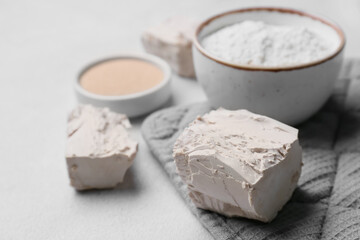 Composition with fresh and dry yeast on light background