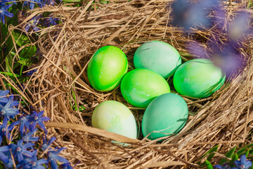 Green and blue eggs in a nest of straw and blue flowers among nature for the Easter holiday