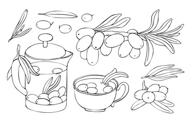 Hand drawn contour branches, berries and leaves of sea buckthorn. Vector illustration. Image of a teapot, glass, brewed tea.