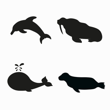 A set of silhouettes of marine mammals, walrus, seal, dolphin, whale. Black vector silhouettes of marine animals
