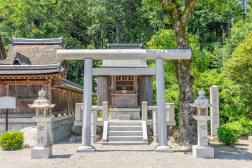 Fototapeta premium 苗村神社