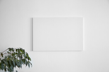 Canvas mockup hanging on white wall and green leaves of houseplant