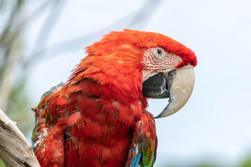 アドベンチャーワールド