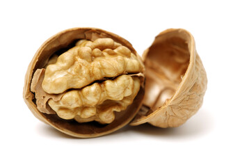 walnuts on a white background