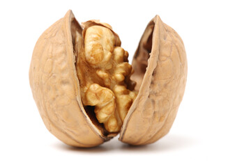 walnuts on a white background