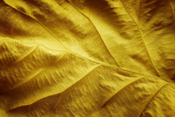 Golden leaf textured abstract nature for background