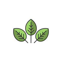 Three leaves eco icon. isolated on white. Vector illustration. Green flat leaves. Leaf organic icon.
