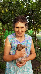 Senior woman holds little rabbit in her elderly hands. Smiling 80s granny in summer garden. Grandmother and brown fur little rabbit