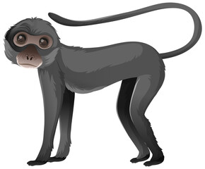 Animal cartoon character of Spider monkey on white background