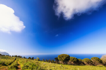 Obraz premium An Evening on Monte Pellegrino mountain near Palermo on Sicily in Italy, Europe