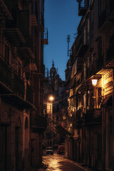Fototapeta premium Palermo City at Night in Sicily in Italy, Europe, near Teatro Massimo Opera House