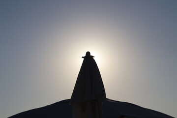 silhouette of a person