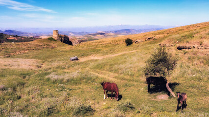 Landscape near Corleone in Inner Sicily in Spring in Italy, Europe