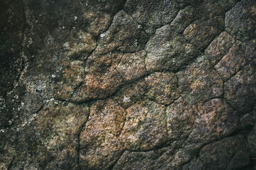 Abstract brown background. Stone background texture. Beautiful wallpaper.