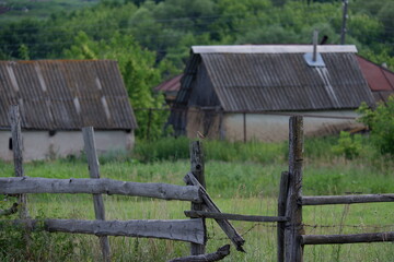 bird old wooden fence