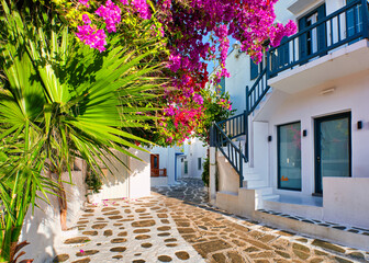 Beautiful traditional street in Greek island town. Whitewashed houses, bougainvillea in blossom, palm tree leaves, cobblestone. Mykonos, Greece