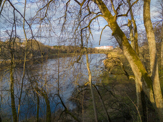 Obraz premium In the foreground are moss-covered trees and their branches, behind them is the river. In the background, a block with multi-storey buildings is visible.