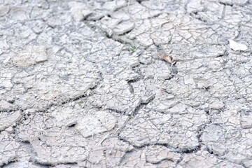 texture of the ground