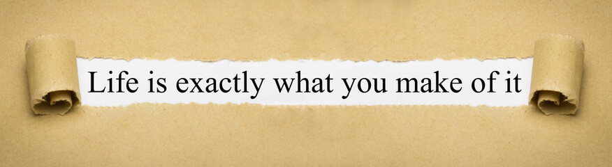 Life is exactly what you make of it