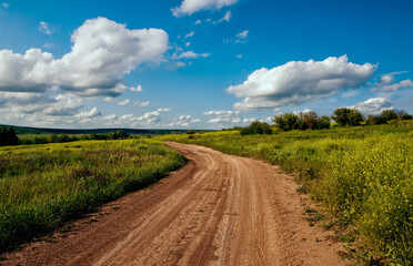 Fototapeta na wymiar dirt road among green fields on a spring sunny day. 