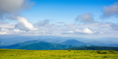 mountain meadow in the afternoon light. beautiful landscape with clouds above horizon. wonderful nature background.