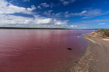 オーストラリア　ハット・ラグーン　ピンクに染まった塩湖
