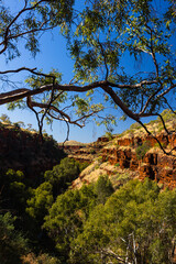 Fototapeta na wymiar オーストラリア　西オーストラリア州にあるカリジニ国立公園のデイルズ渓谷