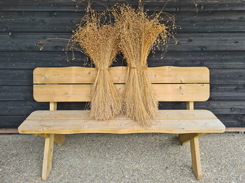 Sheaves of wheat on a wooden bench