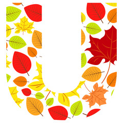 Vector letter U from autumn leaves. Illustration on the subject of the alphabet.