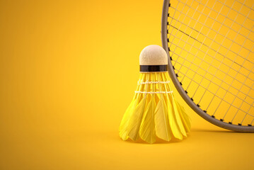 Badminton feather shuttlecock by badminton racket