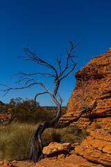 オーストラリア　ノーザンテリトリーにあるワタルカ国立公園内のキングス・キャニオン